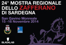 XXIV Mostra regionale dello Zafferano 1606 0 mostra_zafferano