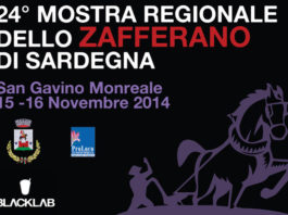 XXIV Mostra regionale dello Zafferano 1606 0 mostra_zafferano