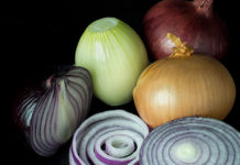 La cipolla 1623 0 la_cipolla