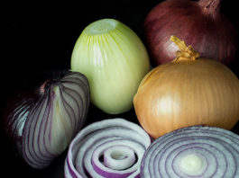 La cipolla 1623 0 la_cipolla
