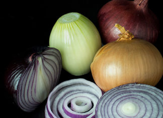 La cipolla 1623 0 la_cipolla