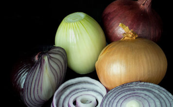 La cipolla 1623 0 la_cipolla