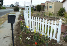 Costruire uno steccato 1625 0 costruire_uno_steccato