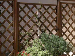 Materiali per i grigliati 1641 0 materiali_per_i_grigliati