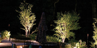 Luci a LED per il giardino 1644 0 luci_a_led_per_il_giardino