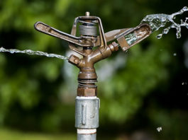 Scegliere il metodo d’irrigazione 1647 0 scegliere_il_metodo_d_irrigazione