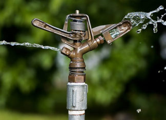 Scegliere il metodo d’irrigazione 1647 0 scegliere_il_metodo_d_irrigazione