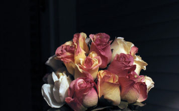 Come creare fiori artificiali 1662 0 come_creare_fiori_artificiali