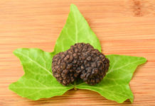 Il tartufo 1669 0 il tartufo_ok