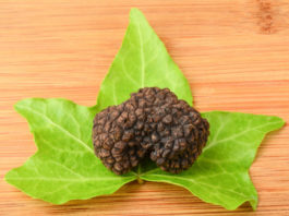 Il tartufo 1669 0 il tartufo_ok