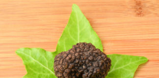 Il tartufo 1669 0 il tartufo_ok