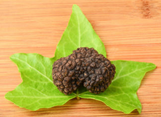 Il tartufo 1669 0 il tartufo_ok