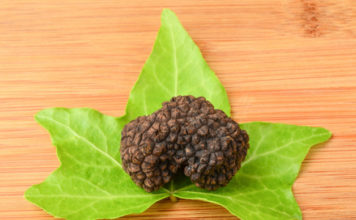 Il tartufo 1669 0 il tartufo_ok