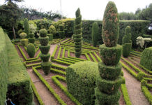 Quando potare le piante 1679 0 quando_potare_le_piante