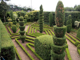 Quando potare le piante 1679 0 quando_potare_le_piante