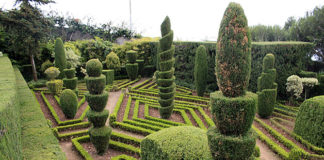 Quando potare le piante 1679 0 quando_potare_le_piante