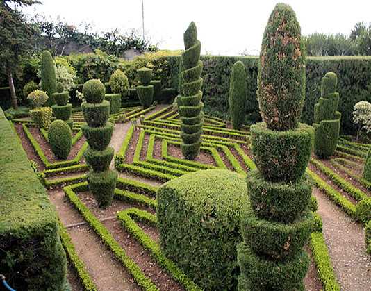 Quando potare le piante 1679 0 quando_potare_le_piante