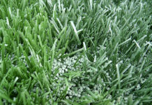 Come spendere poco per il prato sintetico 1681 0 come_spendere_poco_per_il_prato_sintetico