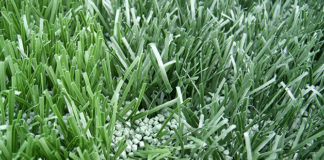 Come spendere poco per il prato sintetico 1681 0 come_spendere_poco_per_il_prato_sintetico