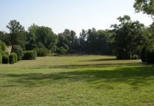 Che specie scegliere per il prato 1682 0 che_specie_scegliere_per_il_prato