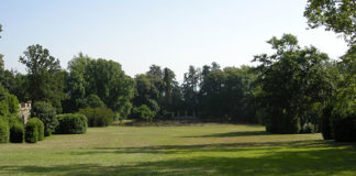 Che specie scegliere per il prato 1682 0 che_specie_scegliere_per_il_prato