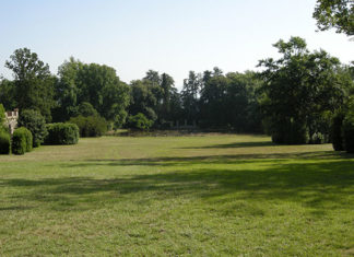 Che specie scegliere per il prato 1682 0 che_specie_scegliere_per_il_prato