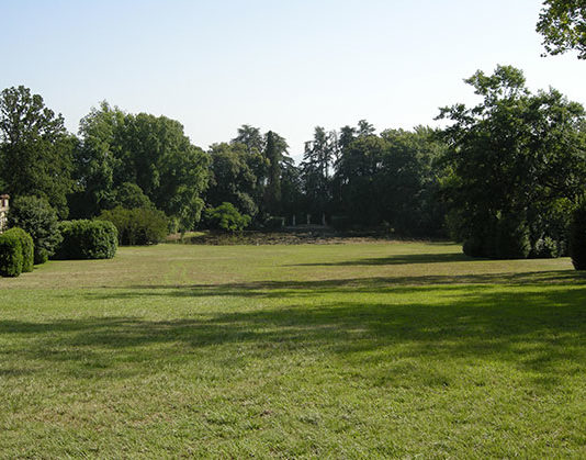 Che specie scegliere per il prato 1682 0 che_specie_scegliere_per_il_prato