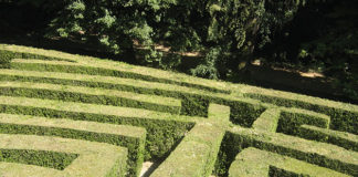 Quali specie per le siepi 1684 0 quali_specie_per_la_siepe