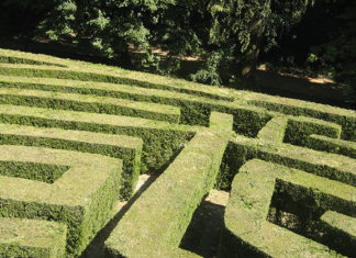 Quali specie per le siepi 1684 0 quali_specie_per_la_siepe