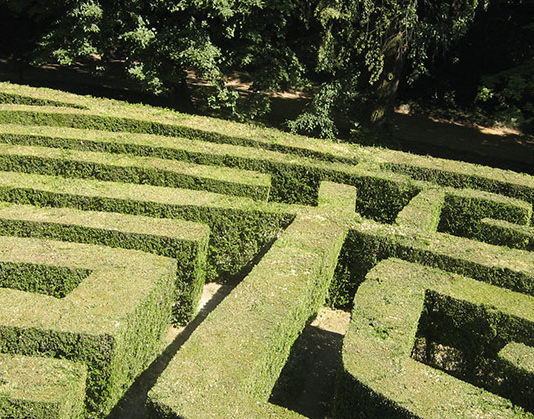 Quali specie per le siepi 1684 0 quali_specie_per_la_siepe