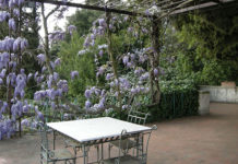 Il materiale giusto per il pergolato 1686 0 il_materiale_giusto_per_il_pergolato