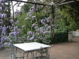 Il materiale giusto per il pergolato 1686 0 il_materiale_giusto_per_il_pergolato