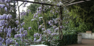 Il materiale giusto per il pergolato 1686 0 il_materiale_giusto_per_il_pergolato