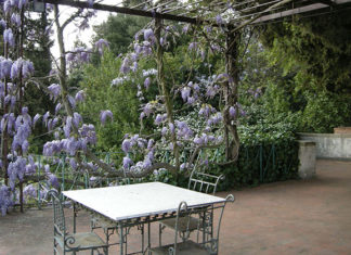 Il materiale giusto per il pergolato 1686 0 il_materiale_giusto_per_il_pergolato