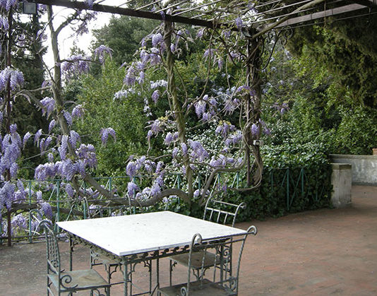 Il materiale giusto per il pergolato 1686 0 il_materiale_giusto_per_il_pergolato