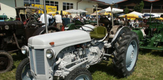 Ferguson TE20 1687 0 il_ferguson_te_20