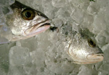 Nasello in agrodolce 1693 0 nasello_agrodolce