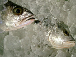 Nasello in agrodolce 1693 0 nasello_agrodolce