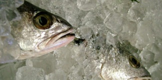 Nasello in agrodolce 1693 0 nasello_agrodolce