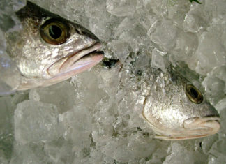 Nasello in agrodolce 1693 0 nasello_agrodolce