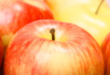 Dolce di mele e cocco 1703 0 dolce_melecocco