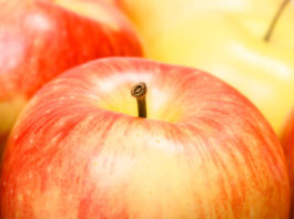 Dolce di mele e cocco 1703 0 dolce_melecocco