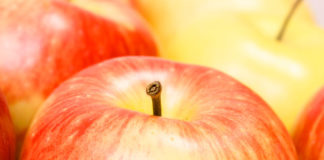 Dolce di mele e cocco 1703 0 dolce_melecocco