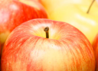 Dolce di mele e cocco 1703 0 dolce_melecocco