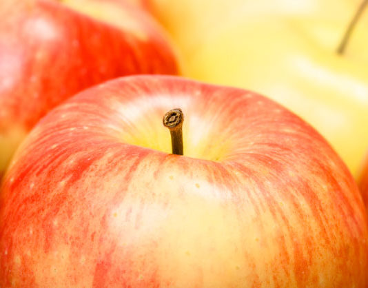 Dolce di mele e cocco 1703 0 dolce_melecocco