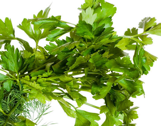 Usi e propretà del prezzemolo 1718 0 prezzemolo