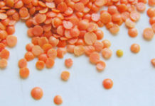 Le proprietà delle lenticchie 1719 0 lenticchie