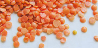 Le proprietà delle lenticchie 1719 0 lenticchie