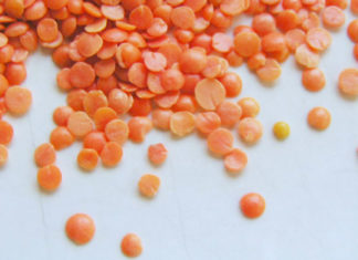 Le proprietà delle lenticchie 1719 0 lenticchie