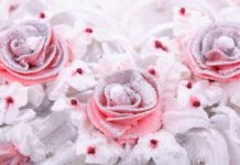 Accessori per il cake design 1731 0 cakedesign4